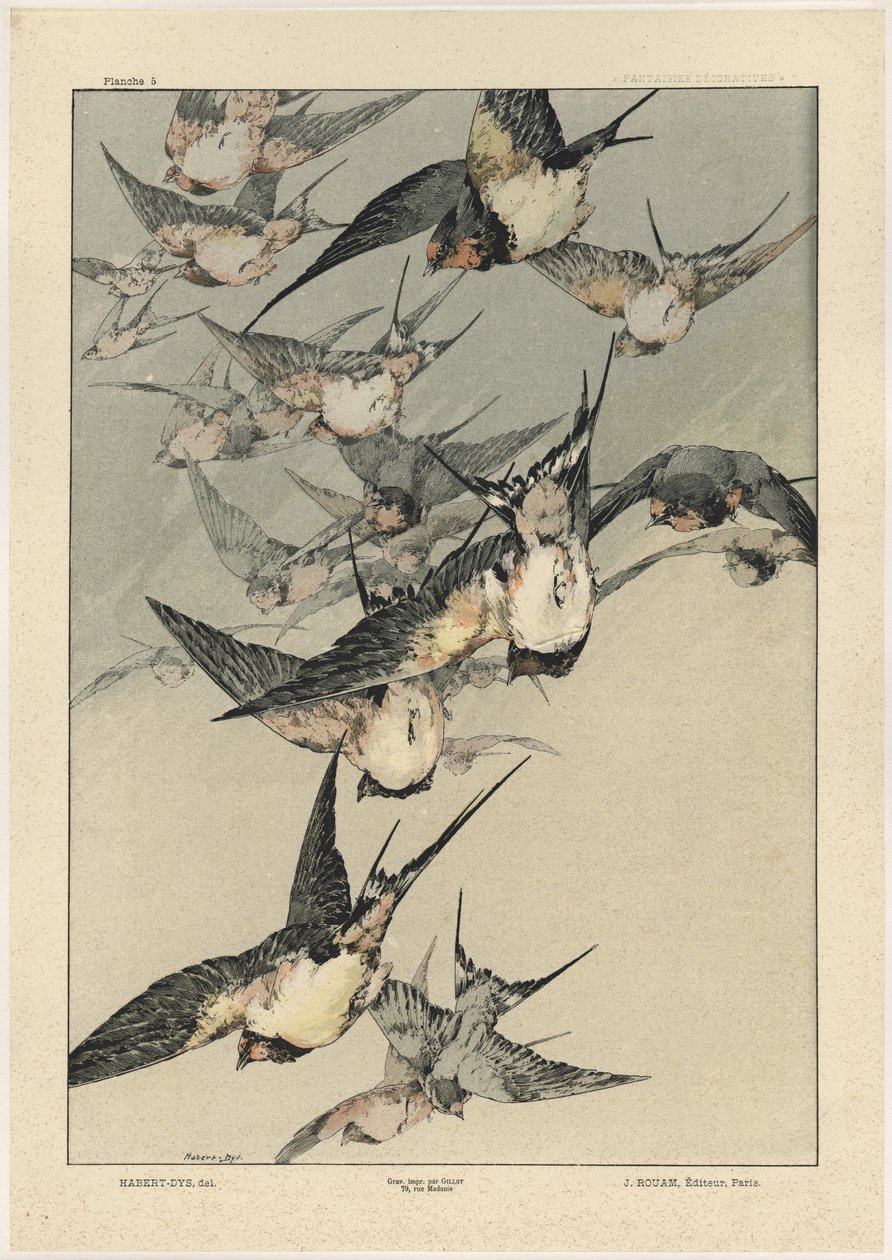 Aves, placa 5 de &39;Fantasias Decorativas&39;, gravada por Gillot, publicada por Jules Rouam, da Librairie de l&39;Art, Paris, 1887 (gravura a cores) de Jules Auguste Habert Dys