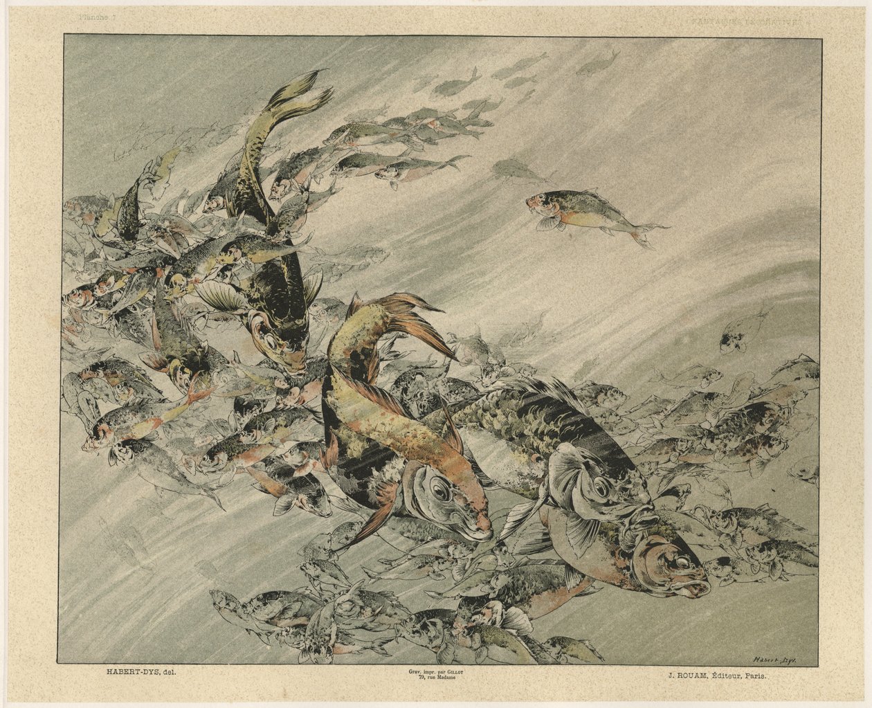 Peixes, prato 7 de &39;Fantasias Decorativas&39;, gravado por Gillot, publicado por Jules Rouam, Livraria de Arte, Paris, 1887 (gravura colorida) de Jules Auguste Habert Dys
