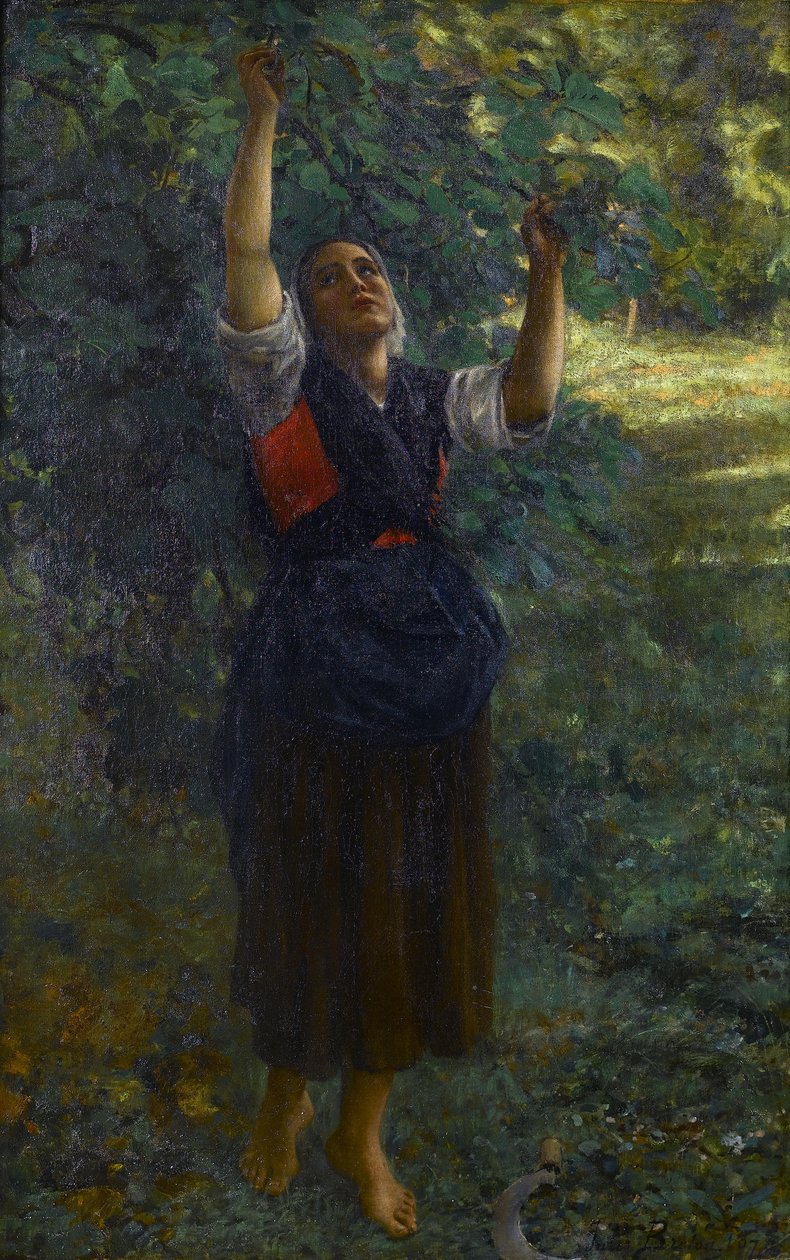 Francês: Cueilleuse de figues de Jules Breton