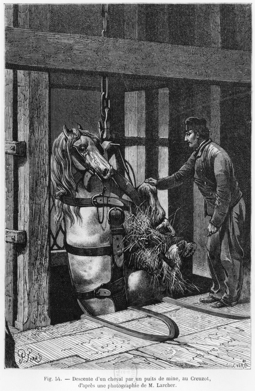 Cavalo sendo guinchado no poço de carvão em Le Creusot, ilustração de "La Vie souterraine" de Louis Simonin (1830-86) 1867 de Jules Ferat