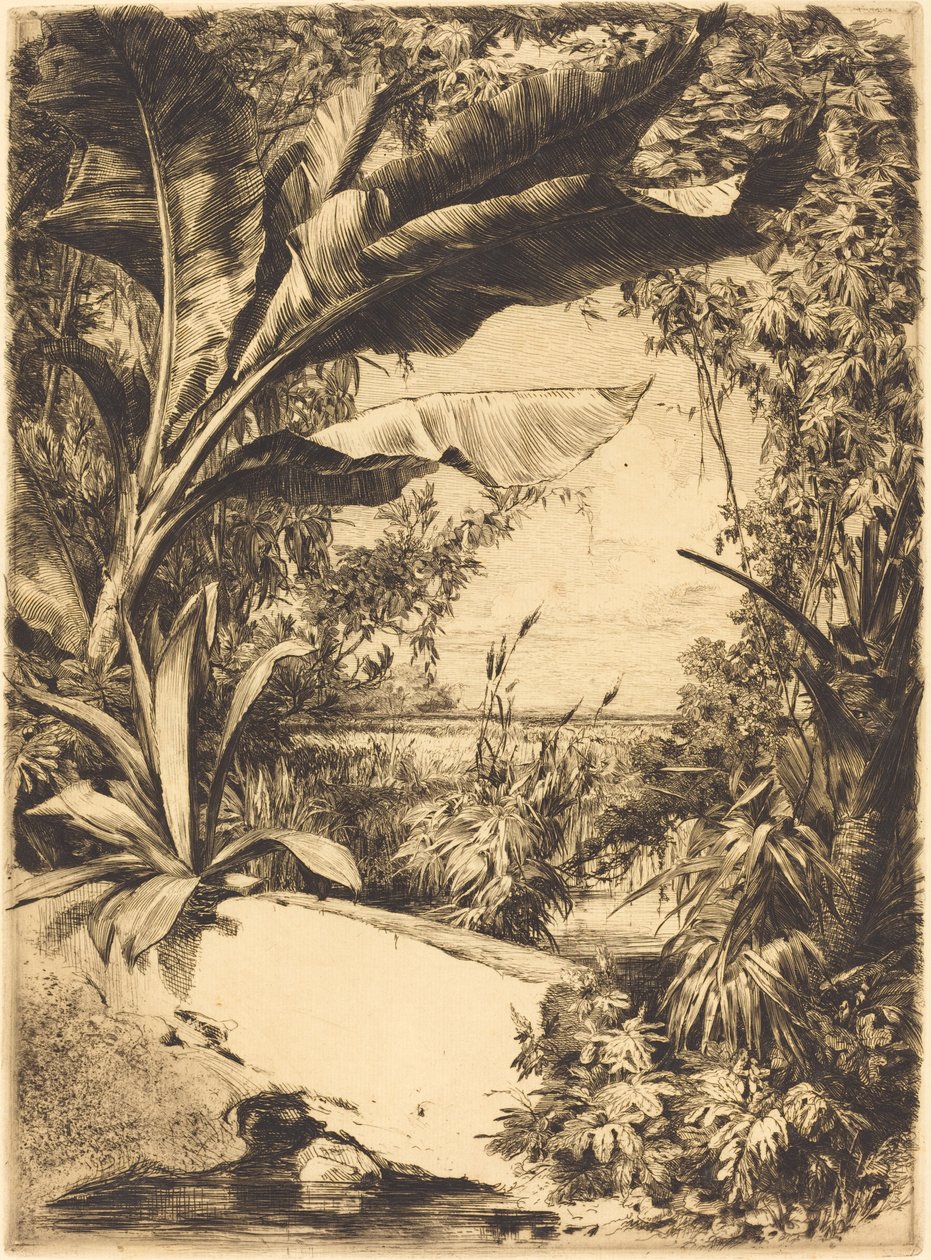 plantas de estufa de Jules Ferdinand Jacquemart