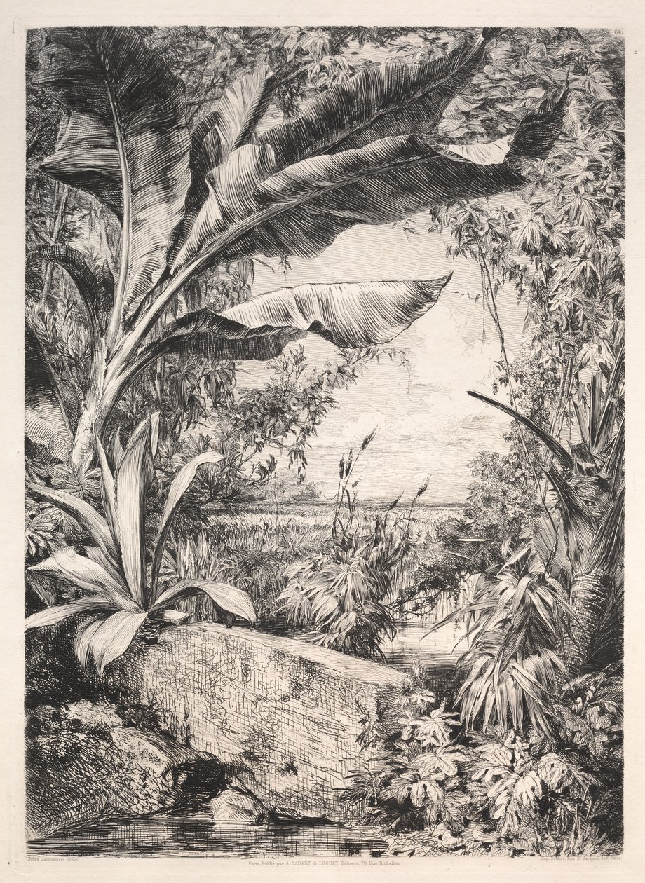 Plantas da estufa de Jules Jacquemart