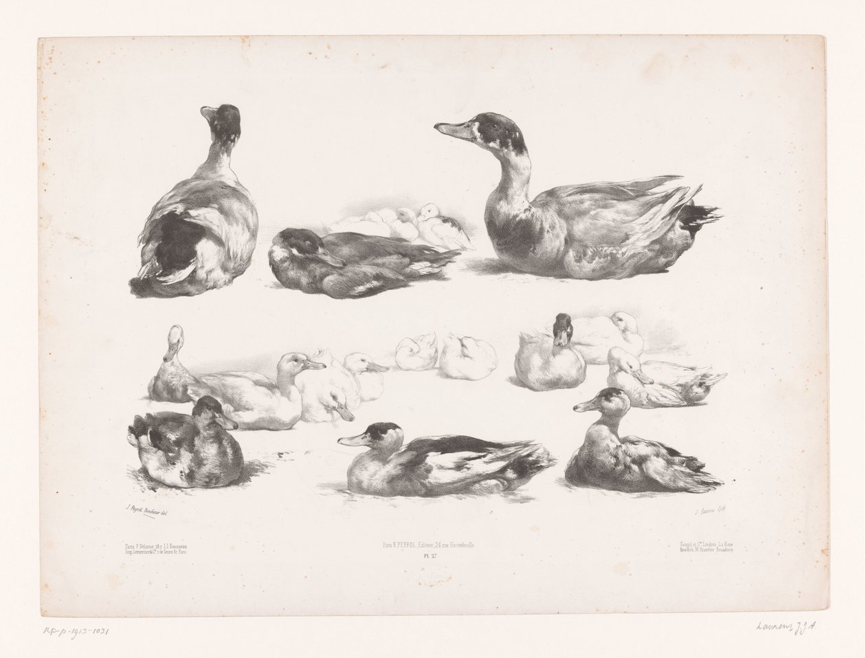 Estudos de grupos de patos mentirosos
Estudos com animais (título da série)
Petites études d