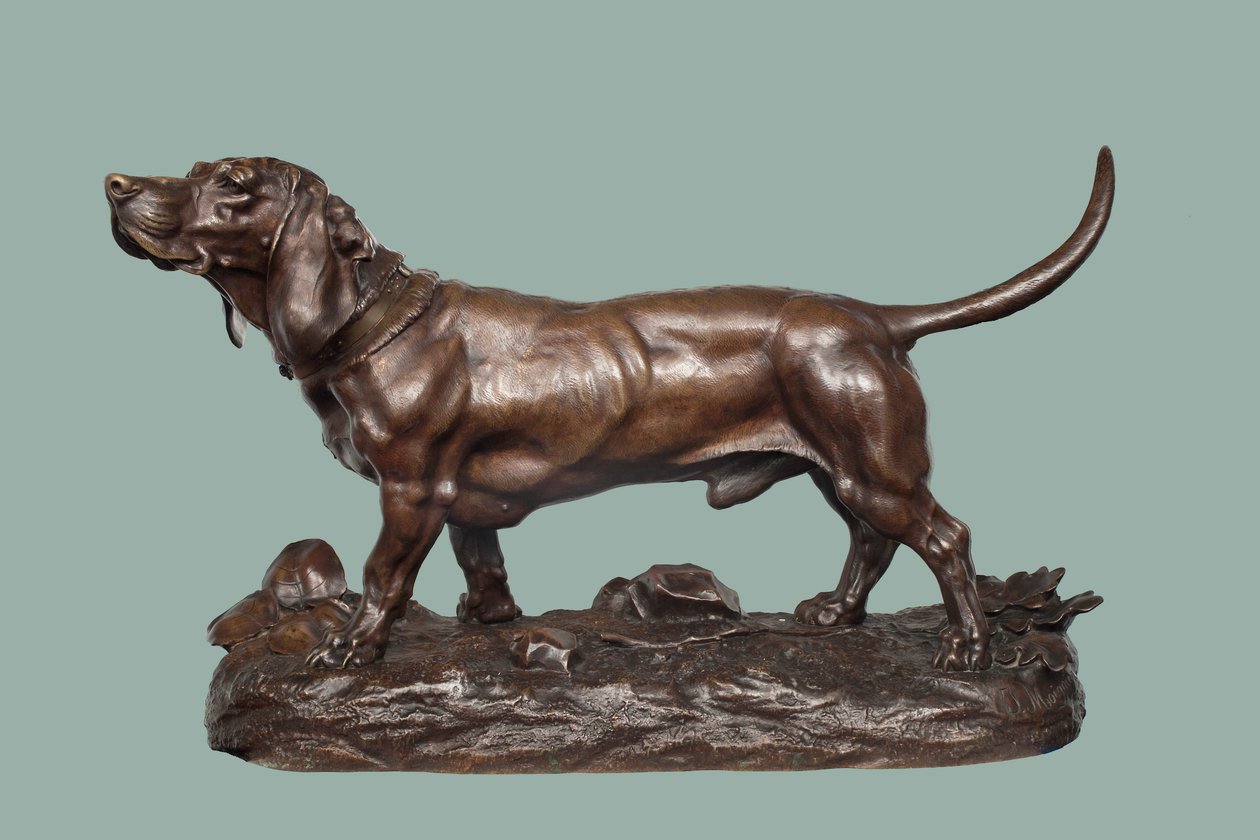 Um Basset Hound (bronze com patina castanha) de Jules Pierre Moigniez