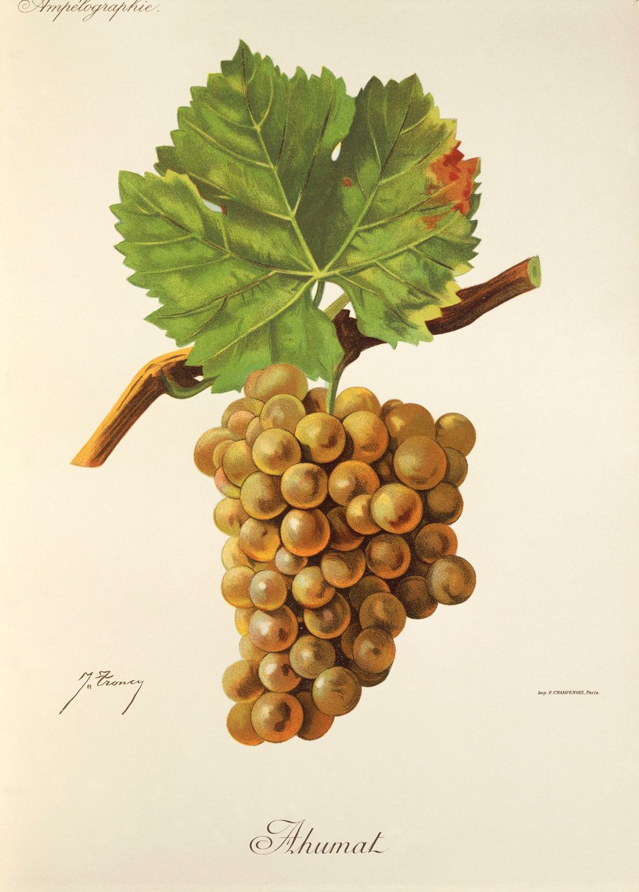 Uva Ahumat de J. Troncy de Jules Troncy