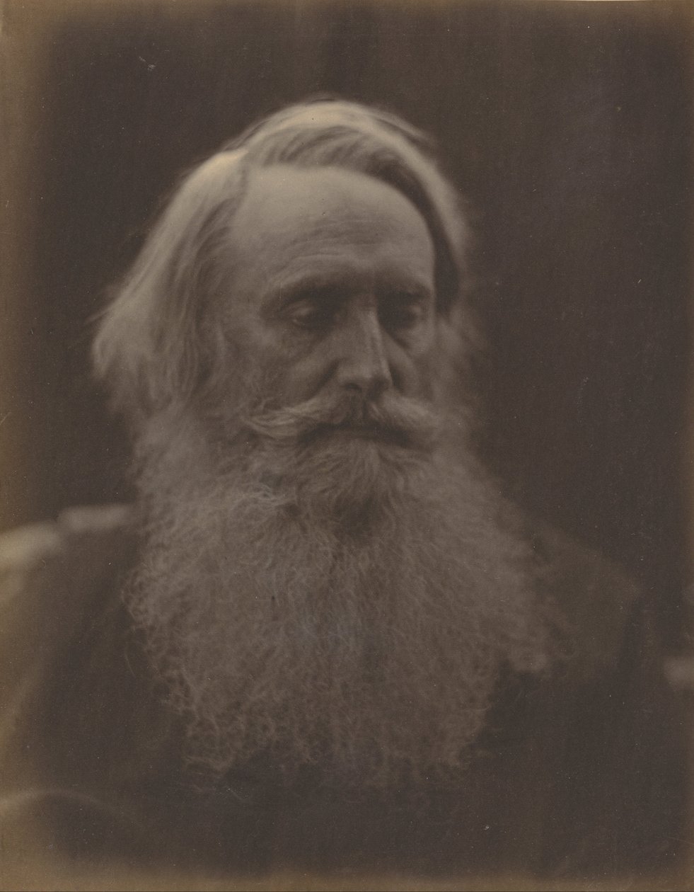 Henry Taylor de Julia Margaret Cameron