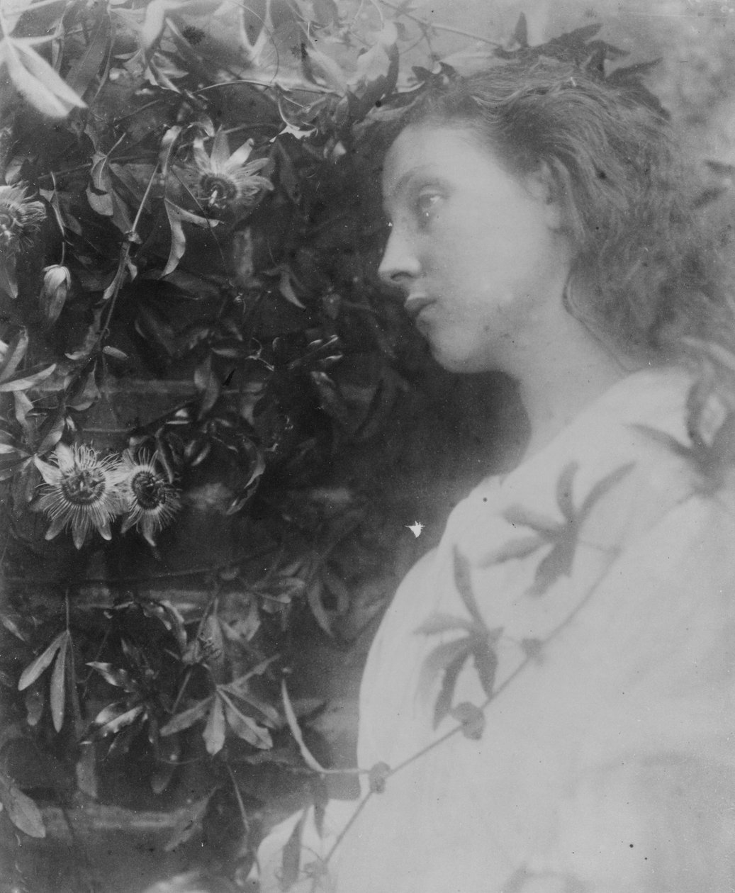 Ilustração para o poema &39;Maud&39; de Alfred, Lord Tennyson, 1865 (impressão albumen) de Julia Margaret Cameron