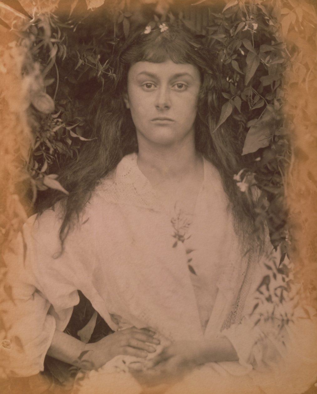 Pomona, 1872 de Julia Margaret Cameron