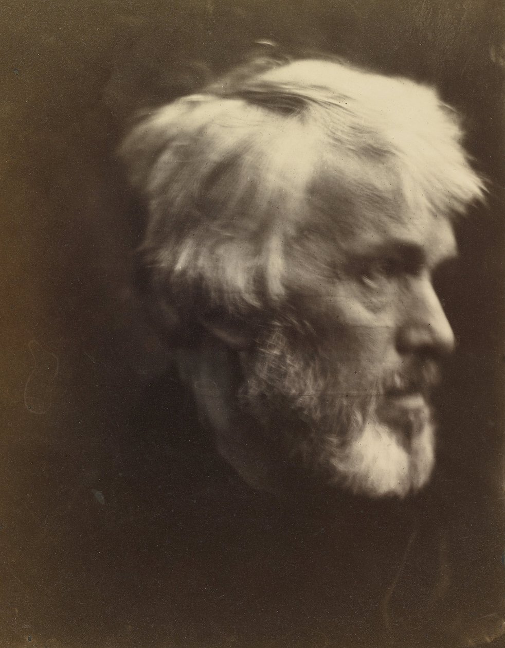 Thomas Carlyle (1795 de Julia Margaret Cameron
