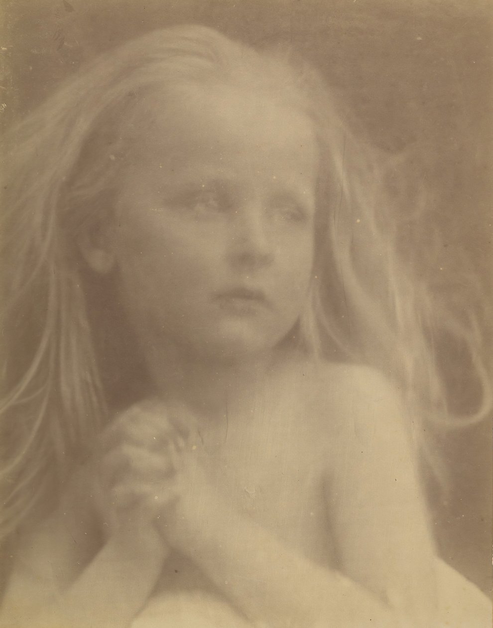 Um lindo esboço, 1873. de Julia Margaret Cameron
