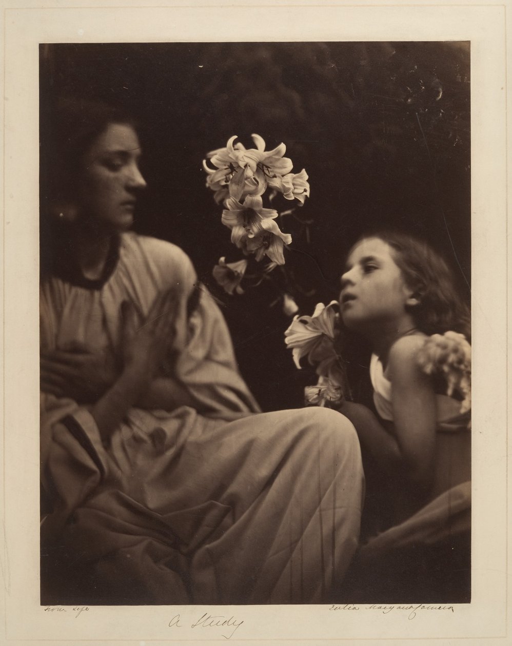 Um estudo de Julia Margaret Cameron