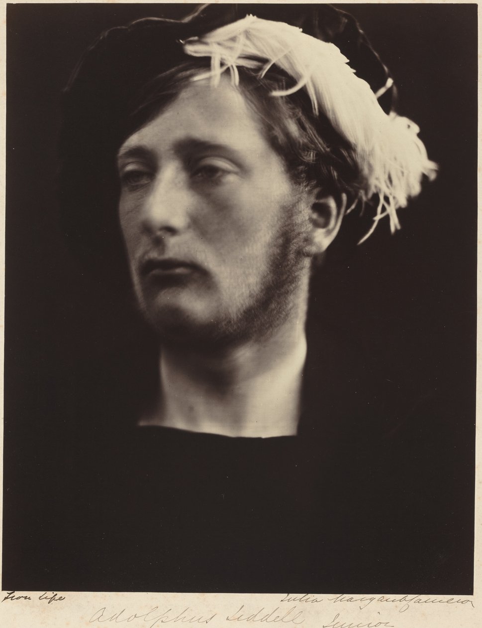 Adolphus Liddell, Junior de Julia Margaret Cameron