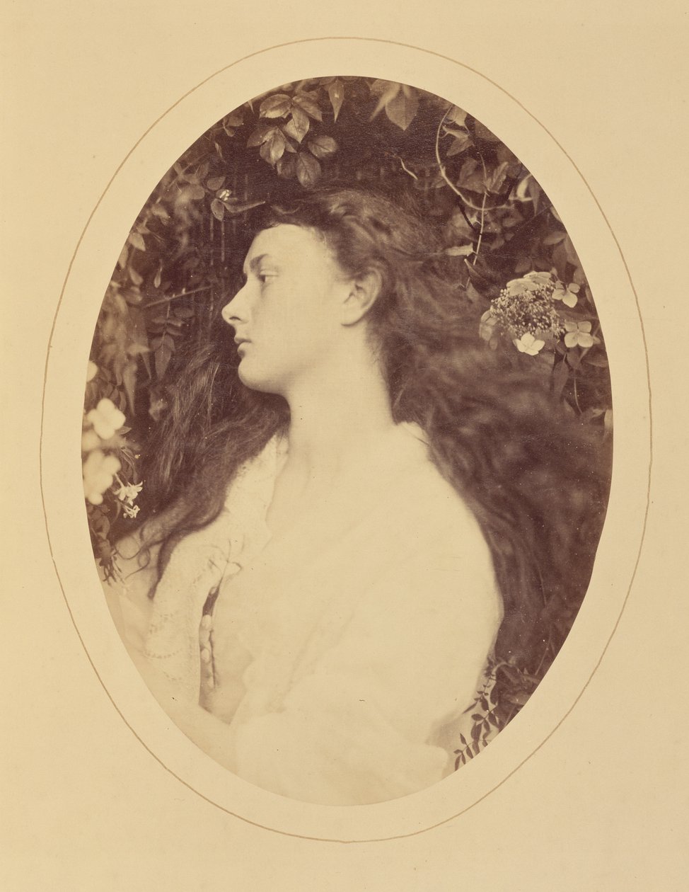 [Alethea] de Julia Margaret Cameron