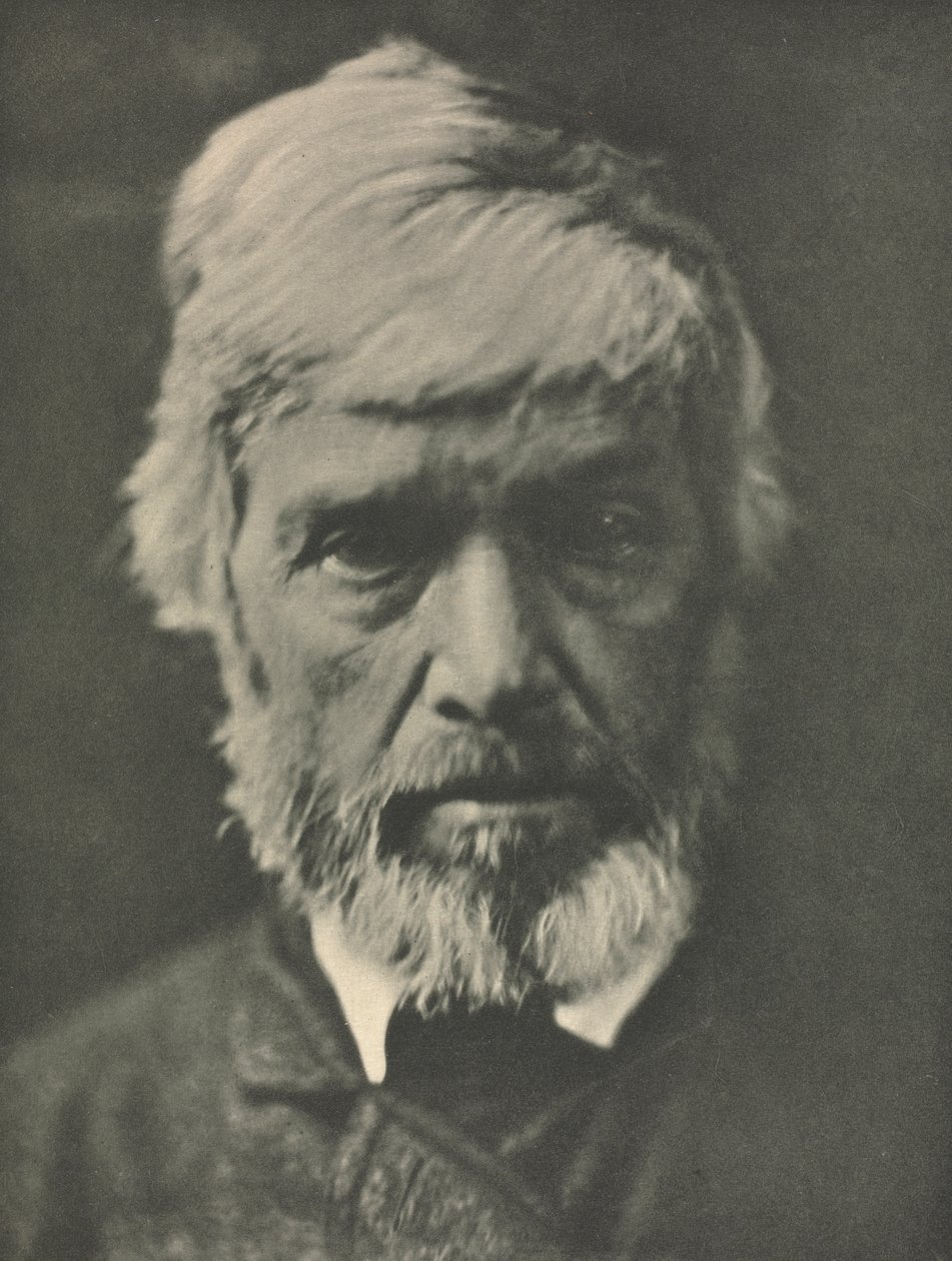 Trabalho de câmera: Carlyle de Julia Margaret Cameron