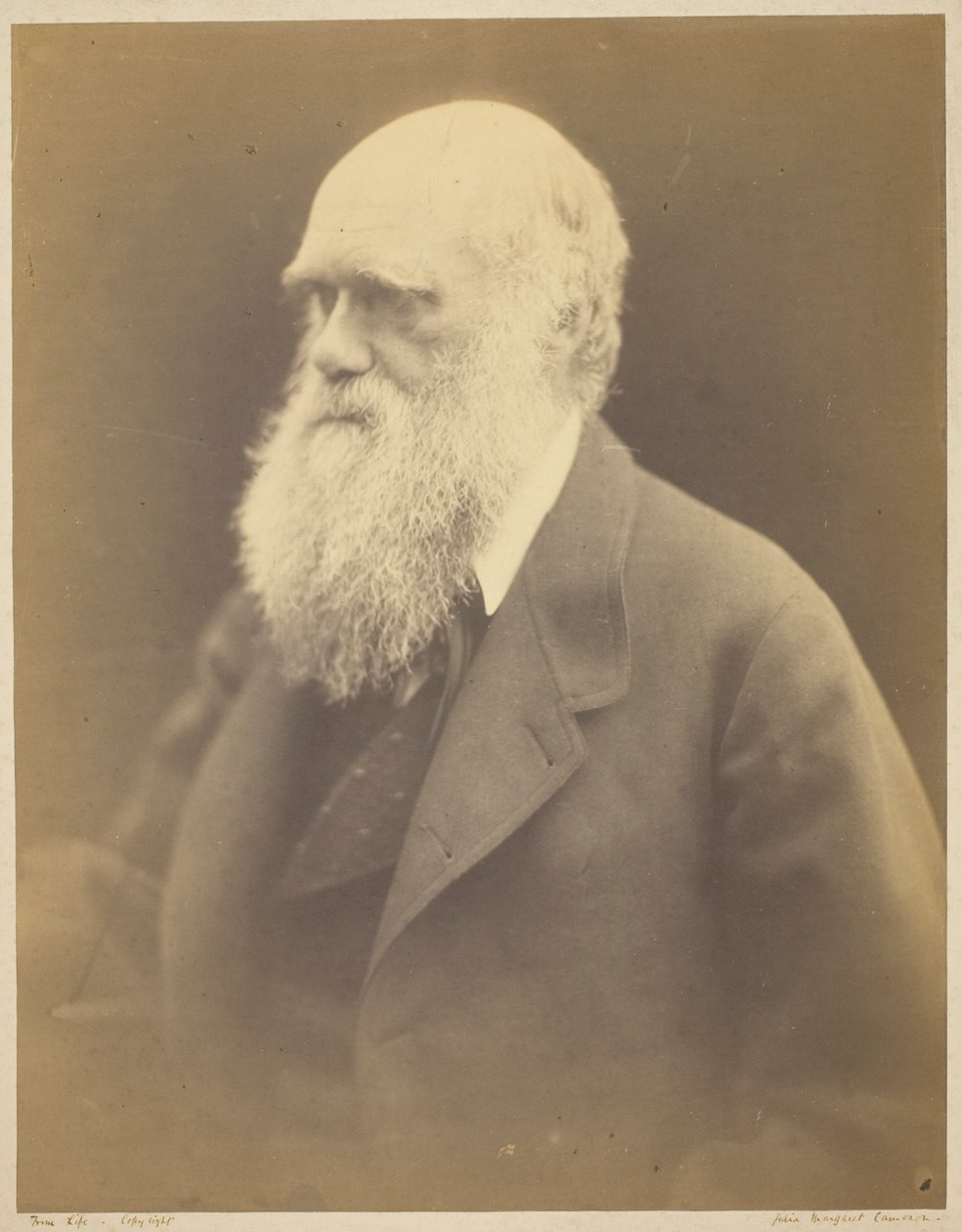 Charles Darwin de Julia Margaret Cameron
