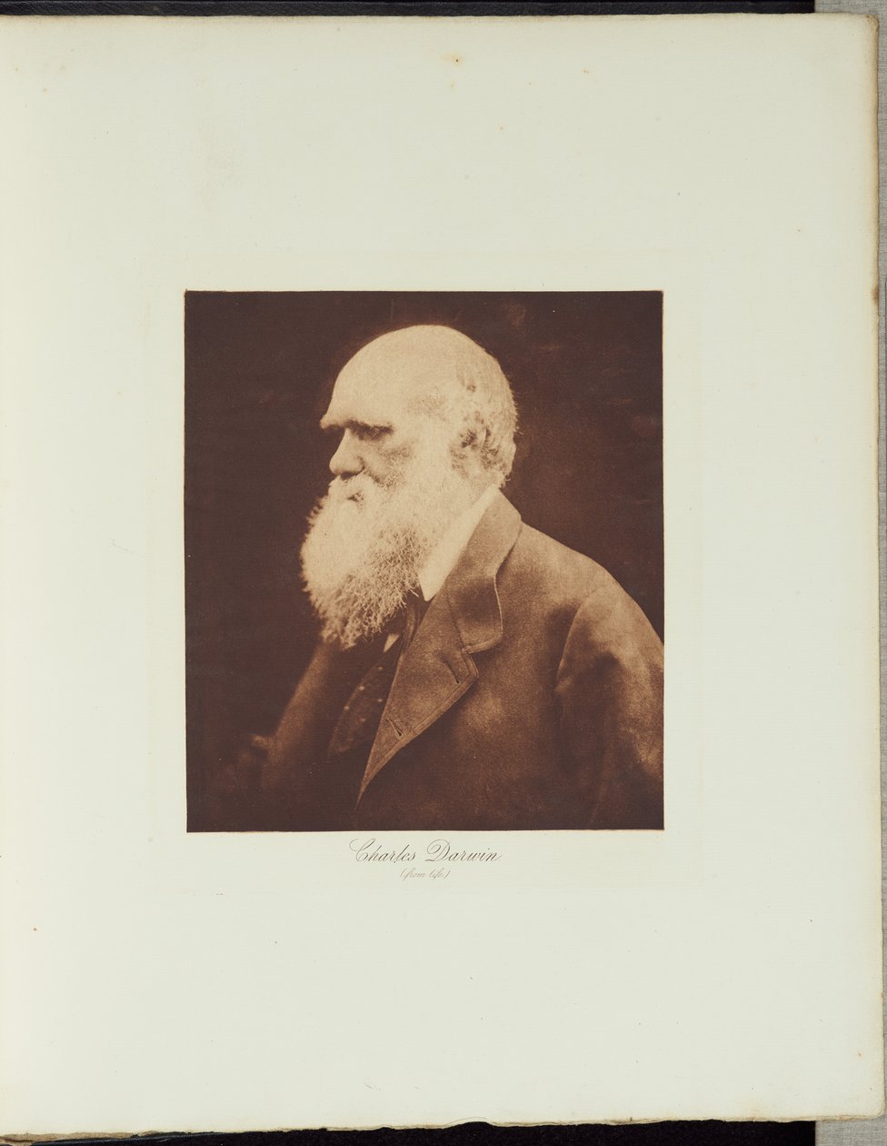 Charles Darwin de Julia Margaret Cameron