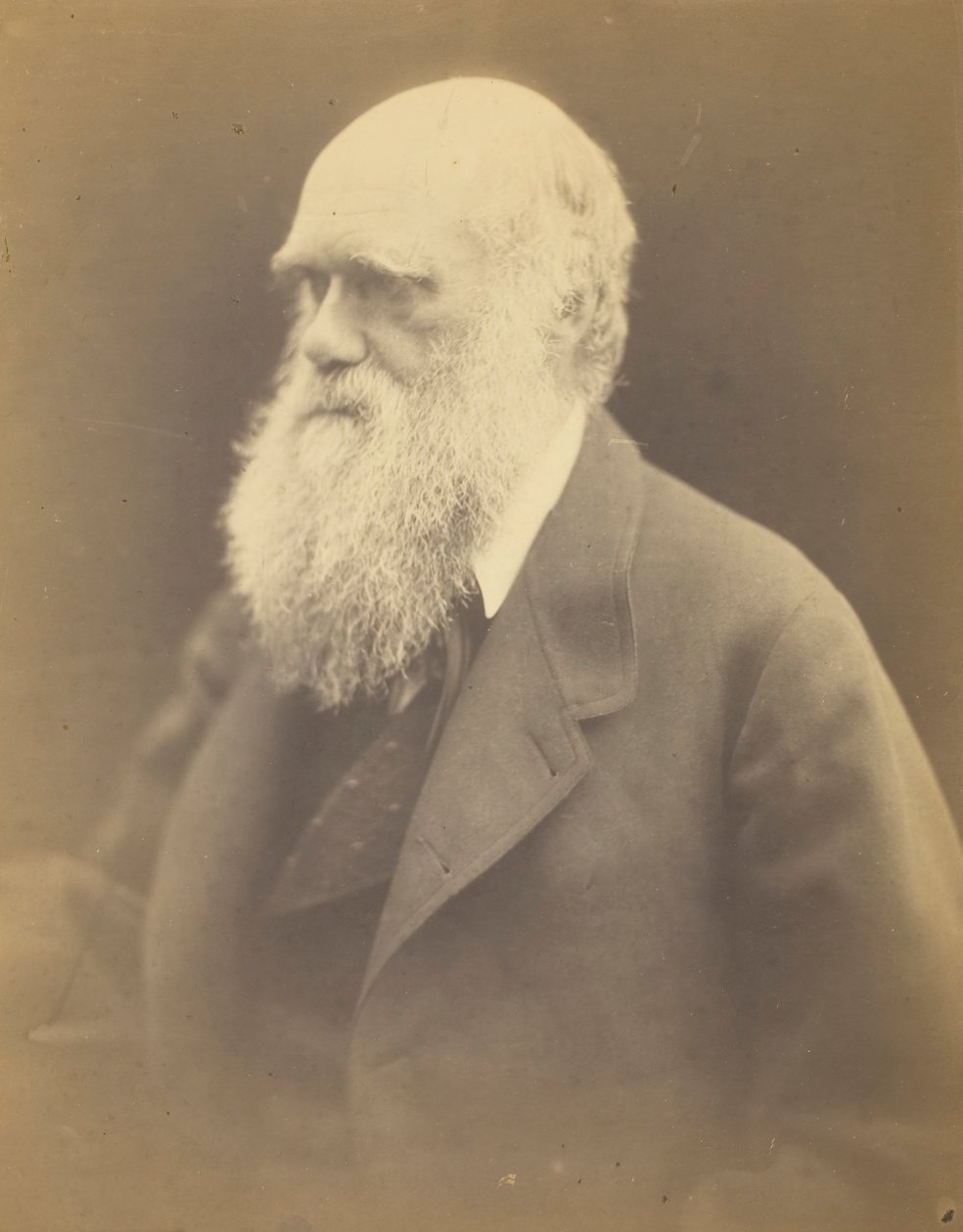 Charles Darwin, 1868. de Julia Margaret Cameron