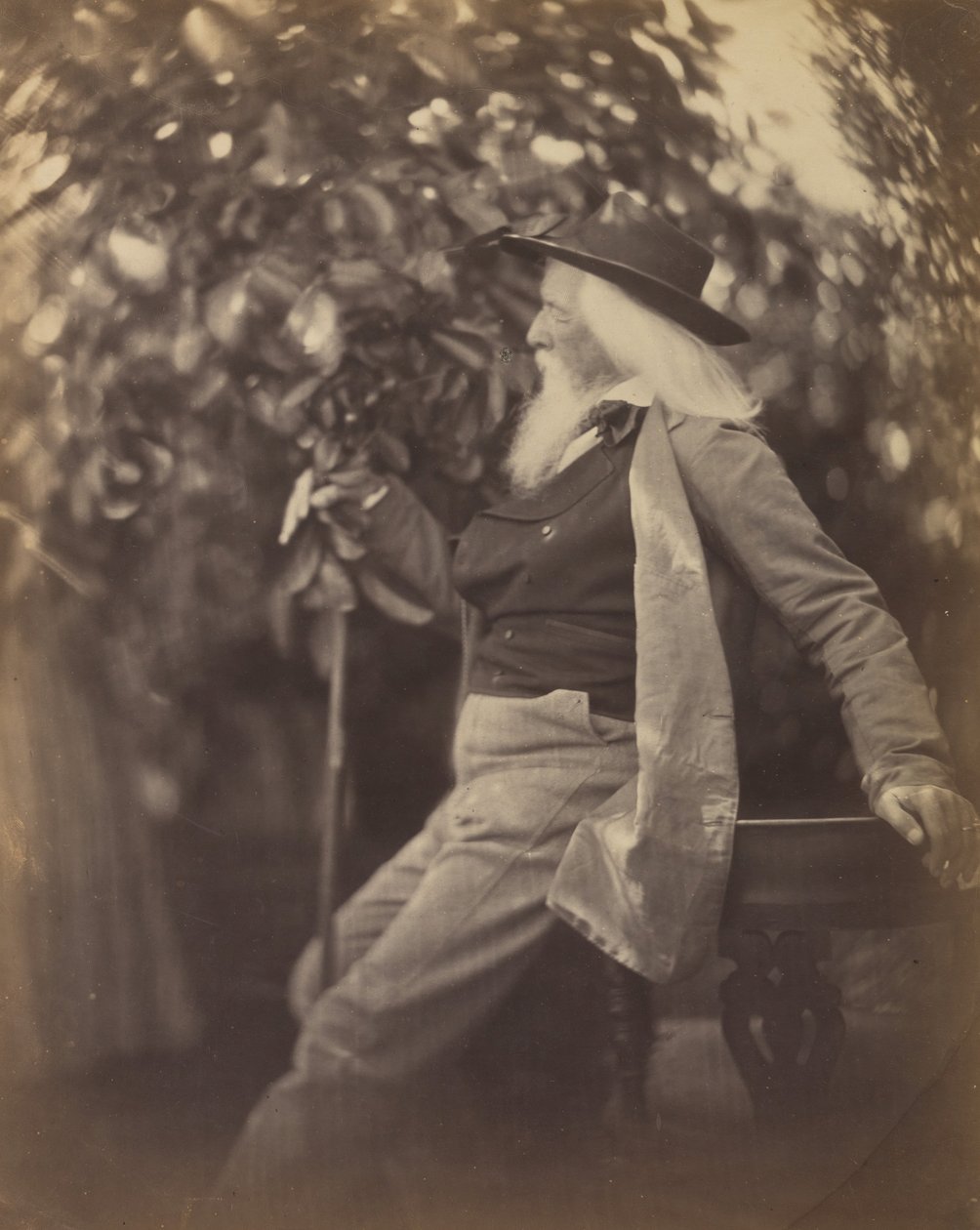 Charles Hay Cameron, Esq., em His Garden at Freshwater, 1865-67. de Julia Margaret Cameron