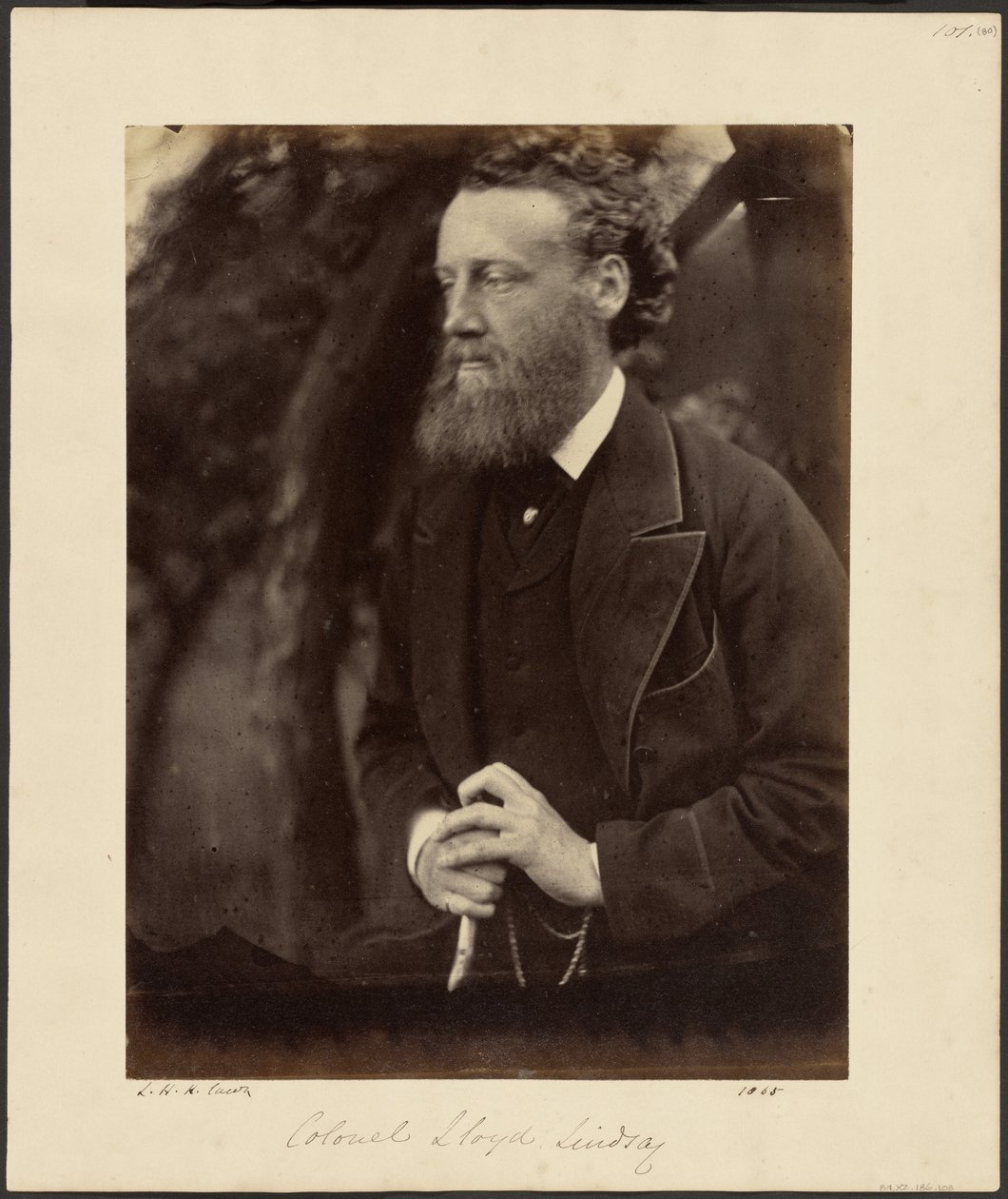 Coronel Lloyd Lindsay de Julia Margaret Cameron