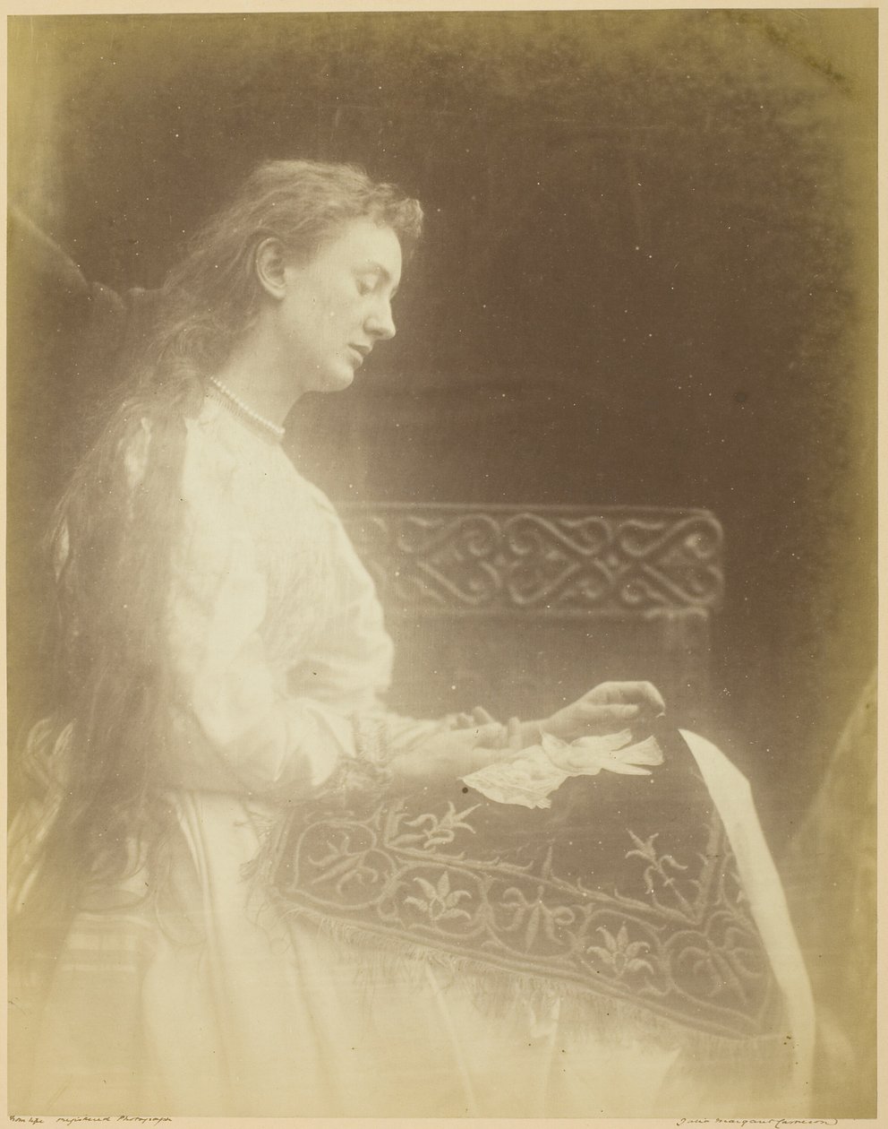 Elaine de Julia Margaret Cameron
