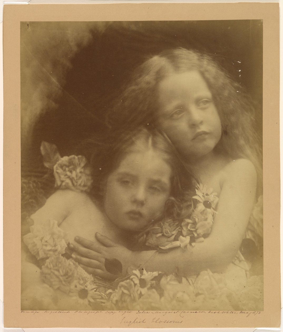 Flores inglesas de Julia Margaret Cameron