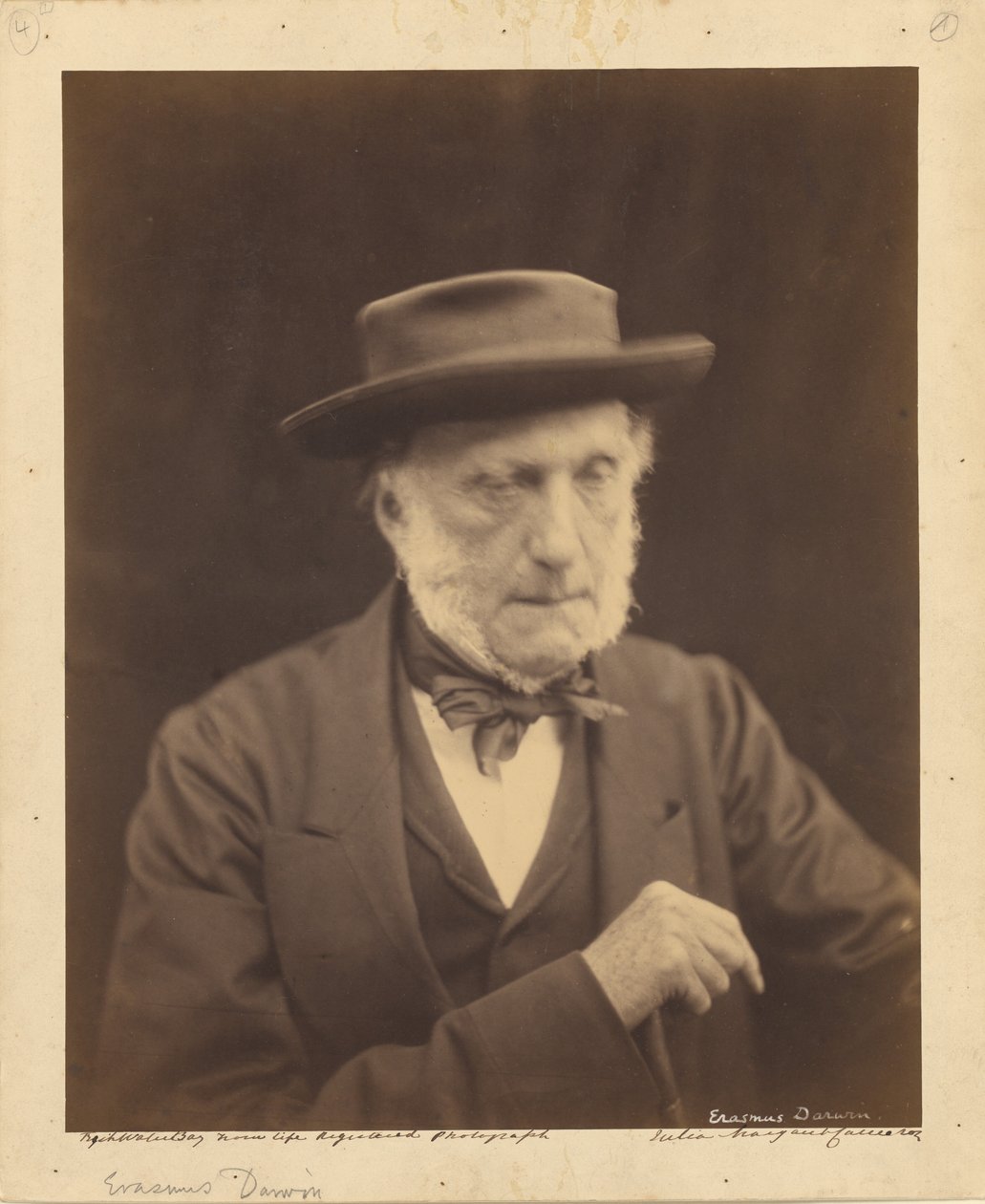 [Erasmus Darwin] de Julia Margaret Cameron