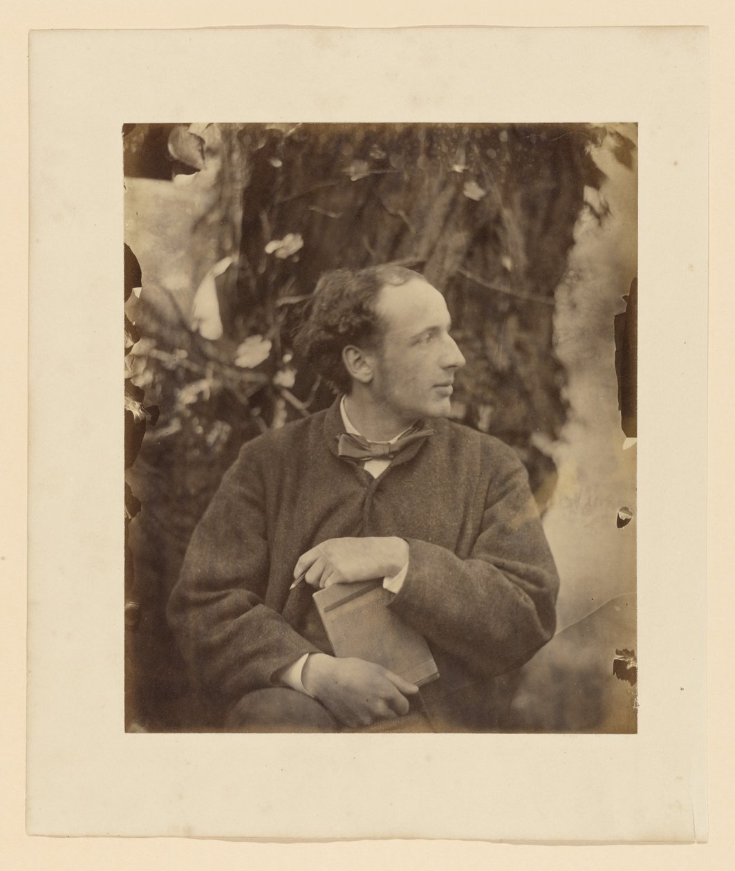 George Howard, 9.º conde de Carlisle de Julia Margaret Cameron