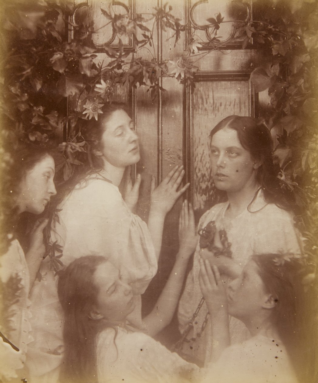 Não ouvimos que o noivo é tão doce, agosto de 1874 de Julia Margaret Cameron