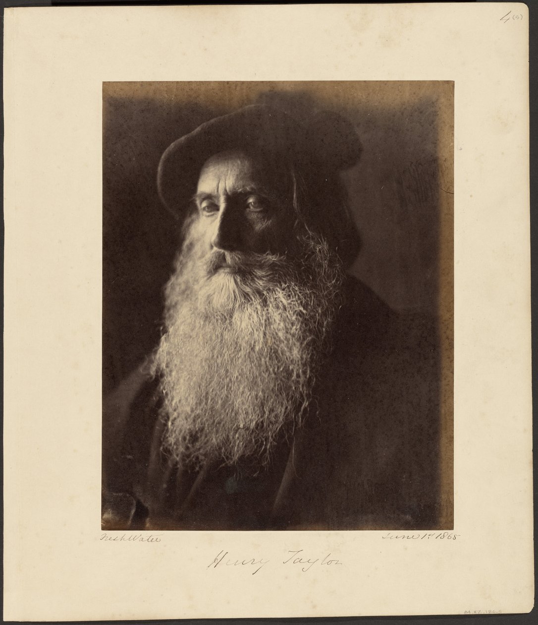 Henry Taylor de Julia Margaret Cameron