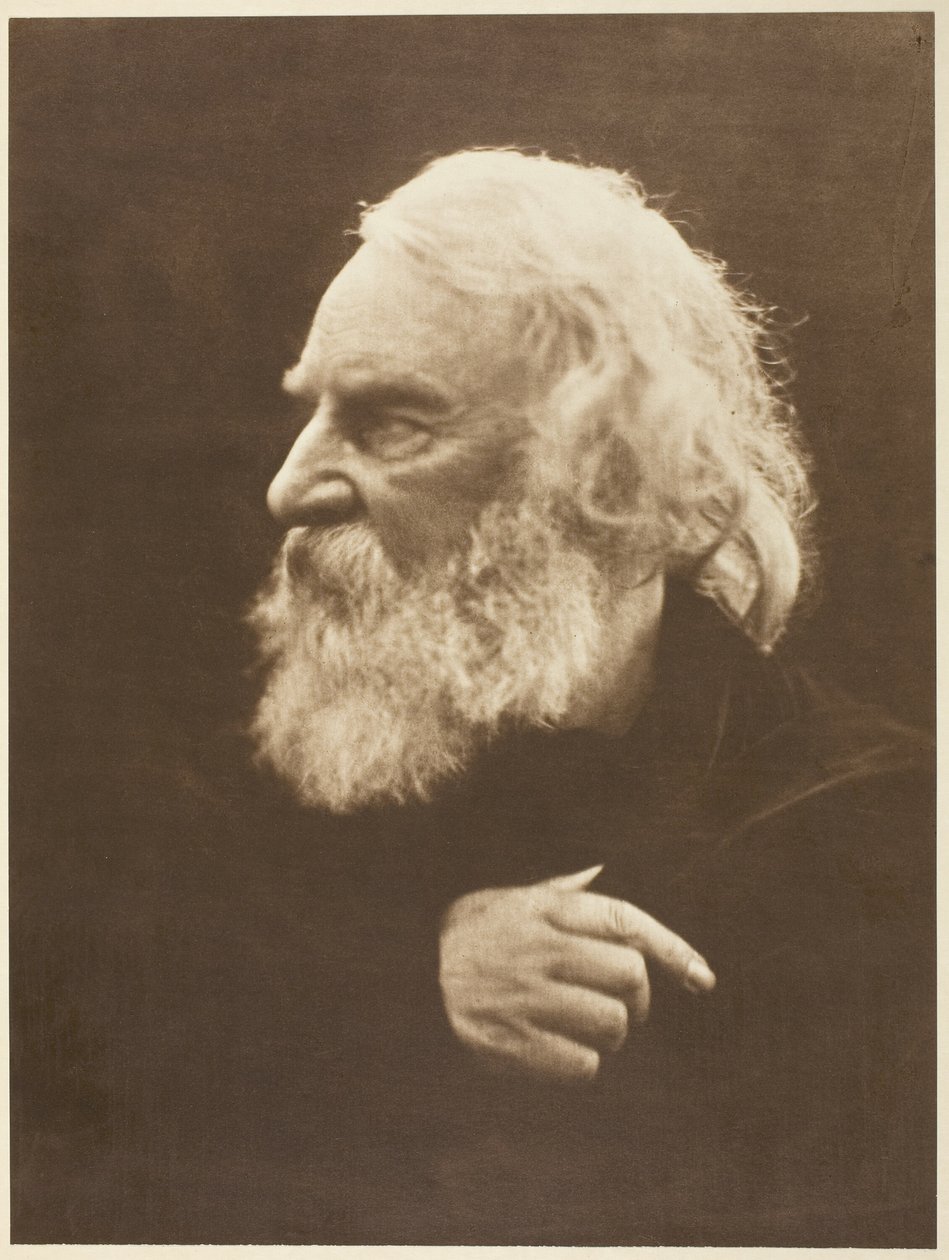 Henry Wadsworth Longfellow de Julia Margaret Cameron