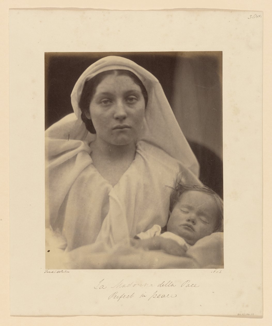 Nossa Senhora da Paz de Julia Margaret Cameron