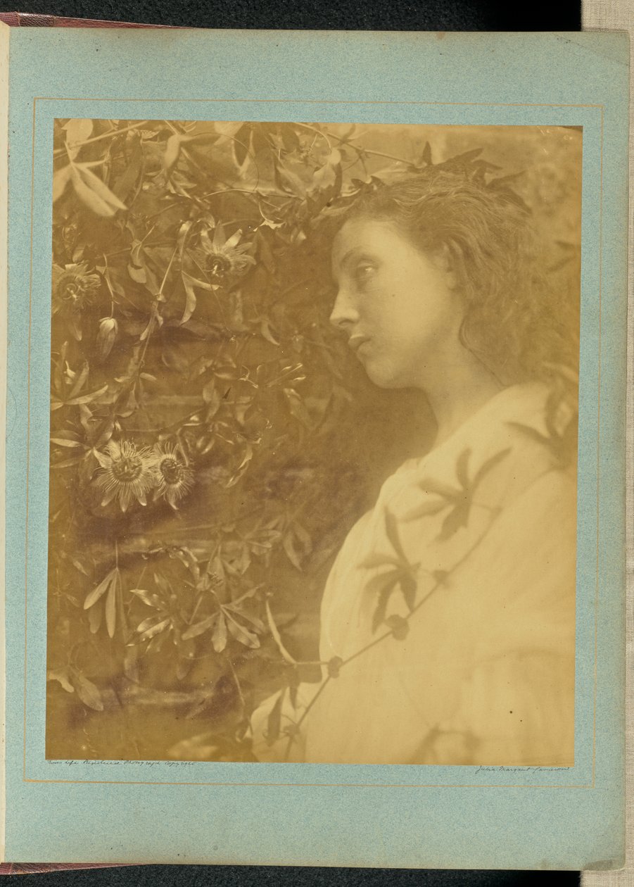 Maud «Caiu uma lágrima esplêndida» / «Da flor-da-paixão junto ao portão.» de Julia Margaret Cameron