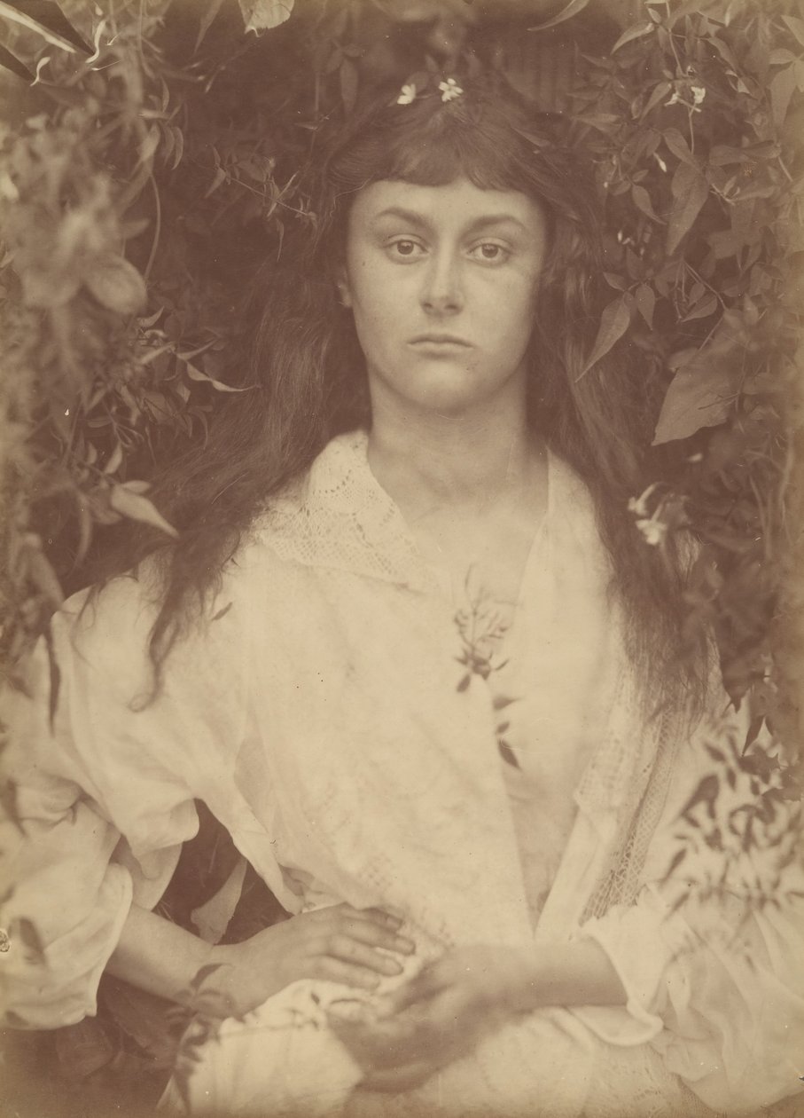 Pomona, 1872. de Julia Margaret Cameron