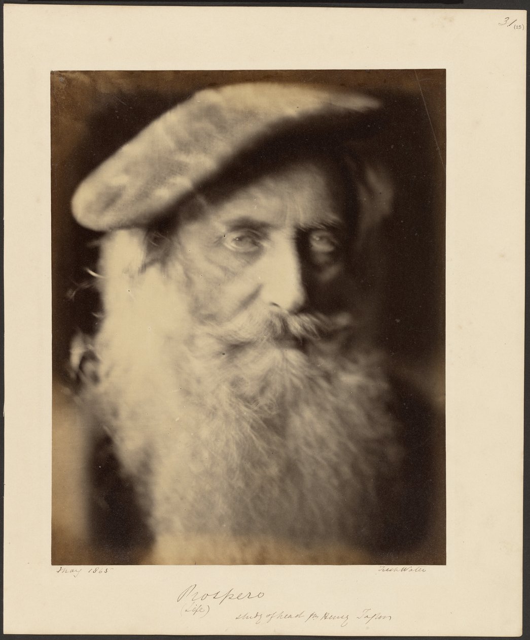 Prosperidade de Julia Margaret Cameron
