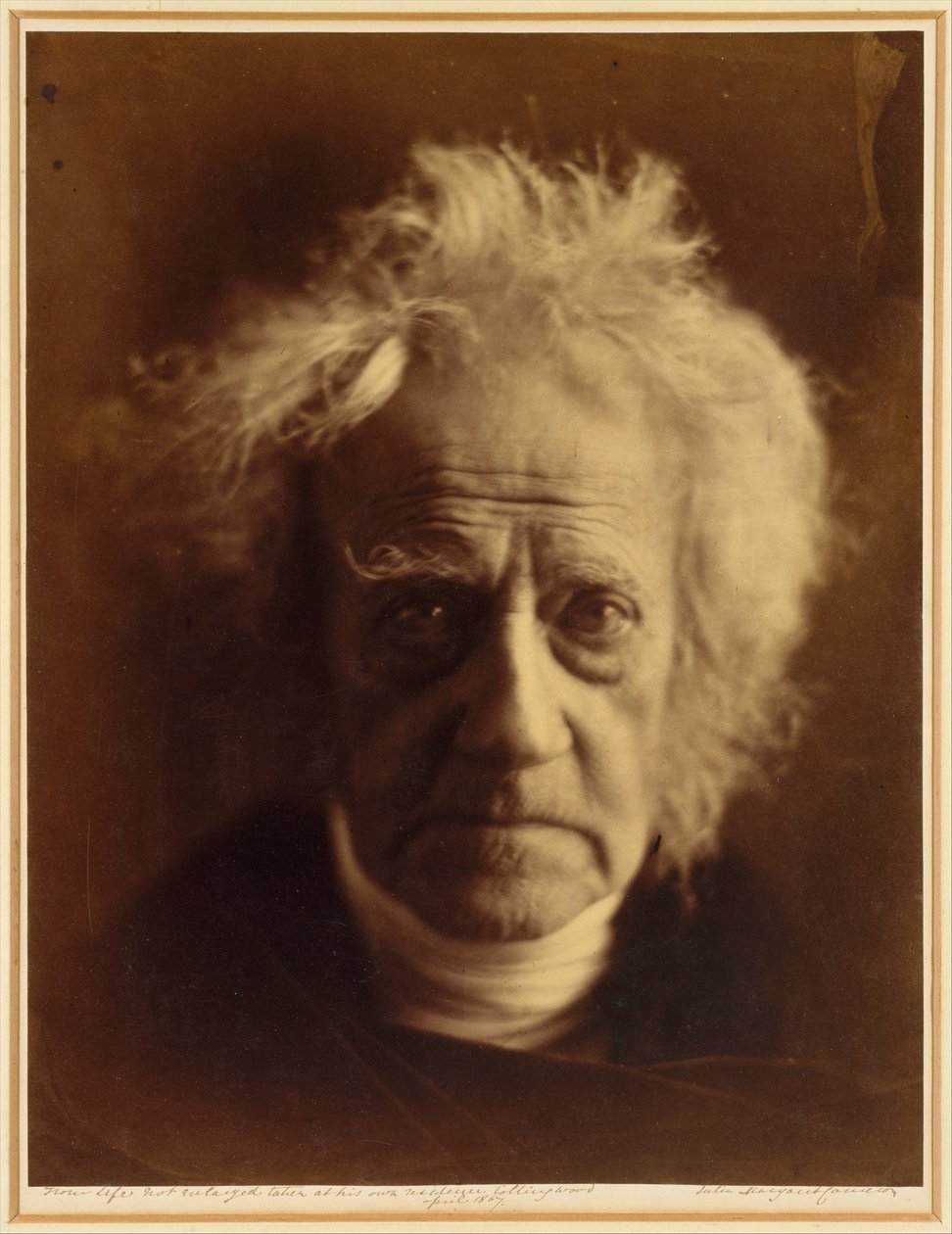Sir John Herschel de Julia Margaret Cameron