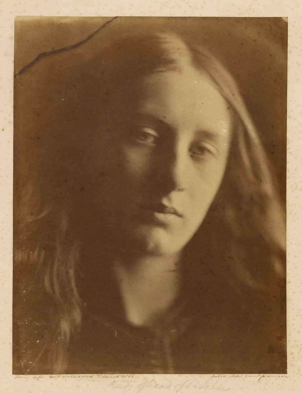 [Cabeça de estudo de São João]. de Julia Margaret Cameron