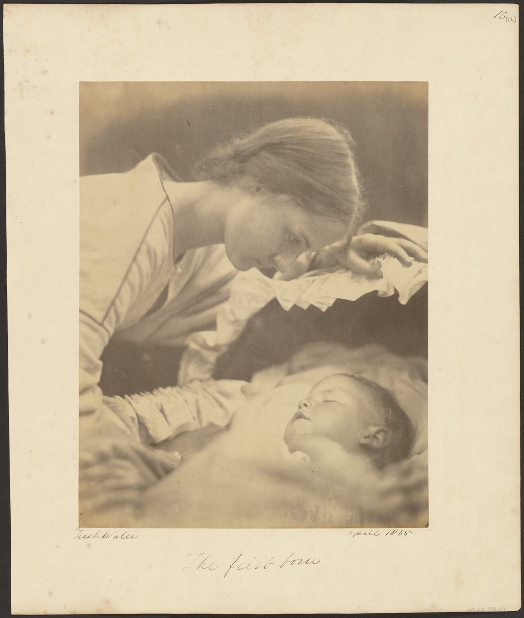O Primogénito de Julia Margaret Cameron