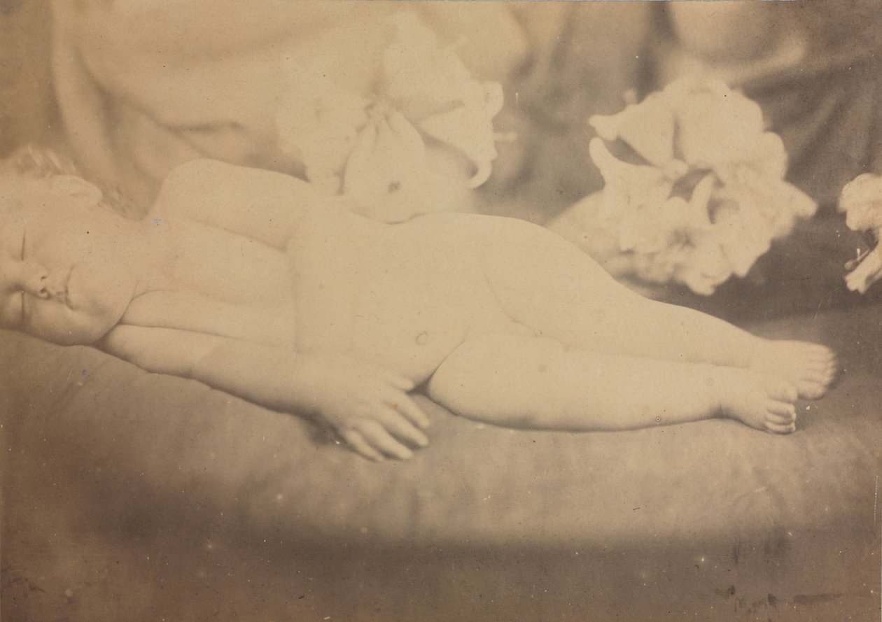 O Lírio e o Cordeiro de Julia Margaret Cameron