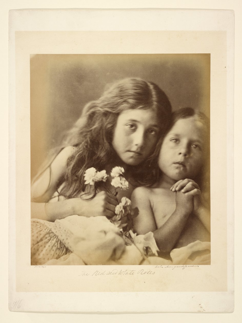 As rosas vermelhas e brancas de Julia Margaret Cameron