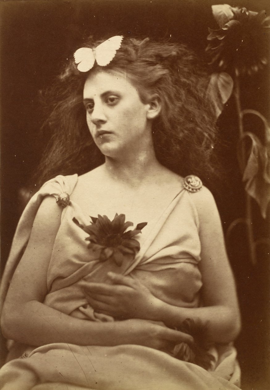 O Girassol de Julia Margaret Cameron