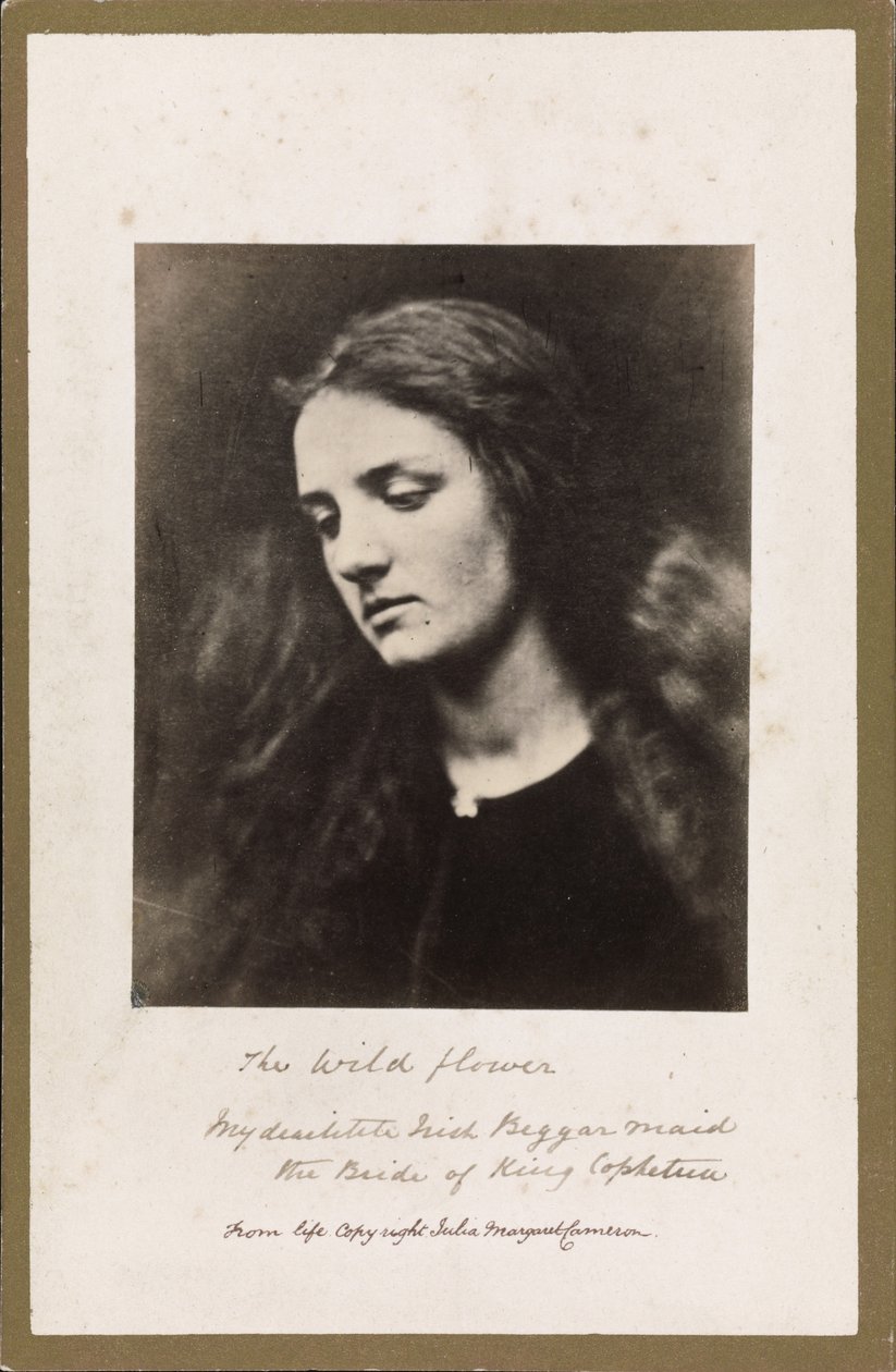 A Flor Selvagem de Julia Margaret Cameron