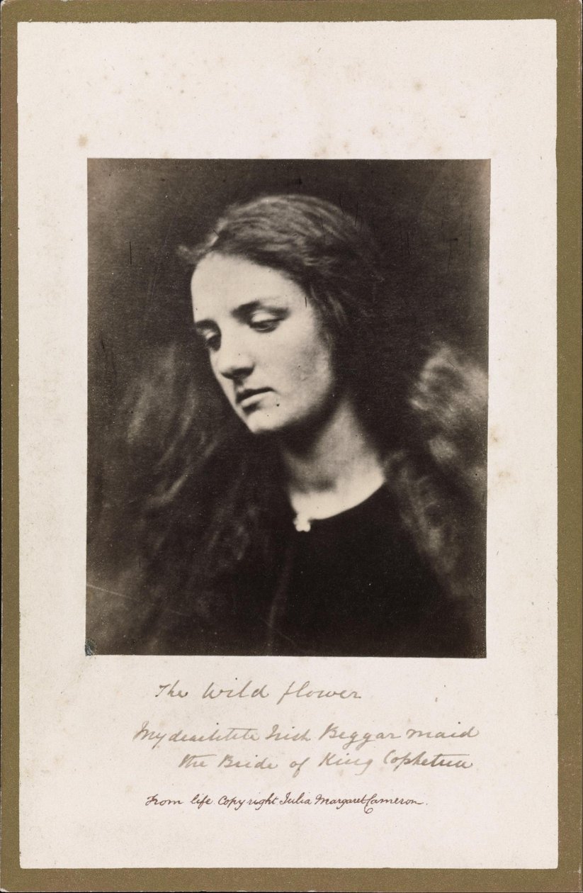 A flor selvagem de Julia Margaret Cameron