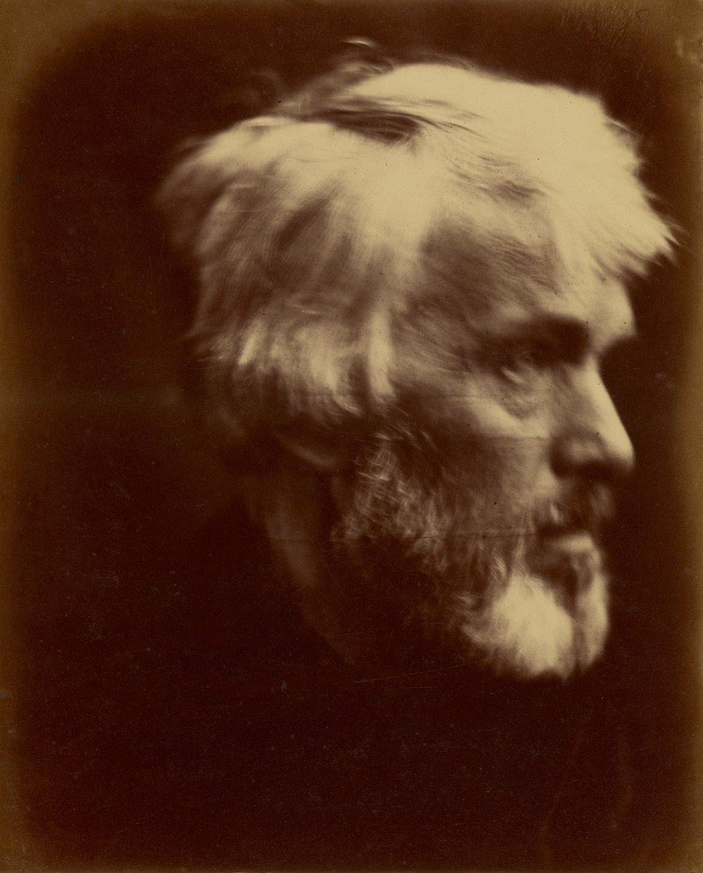[Thomas Carlyle] de Julia Margaret Cameron