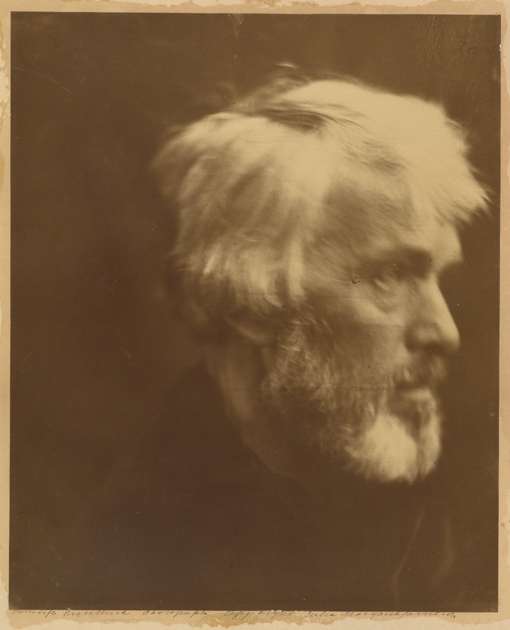 Thomas Carlyle de Julia Margaret Cameron