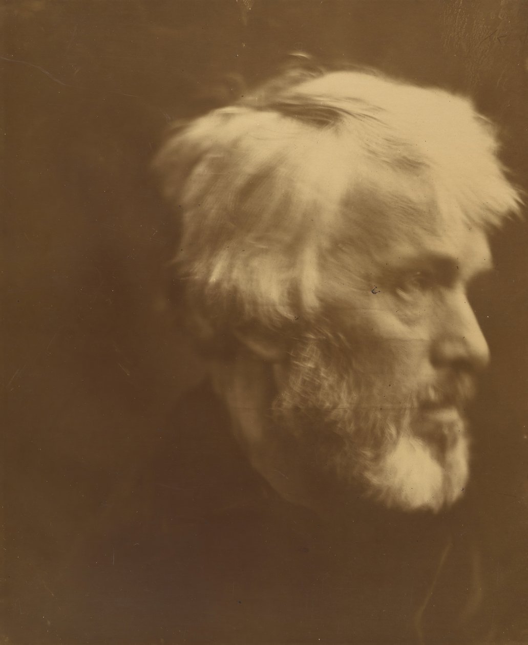 Thomas Carlyle, 1867. de Julia Margaret Cameron
