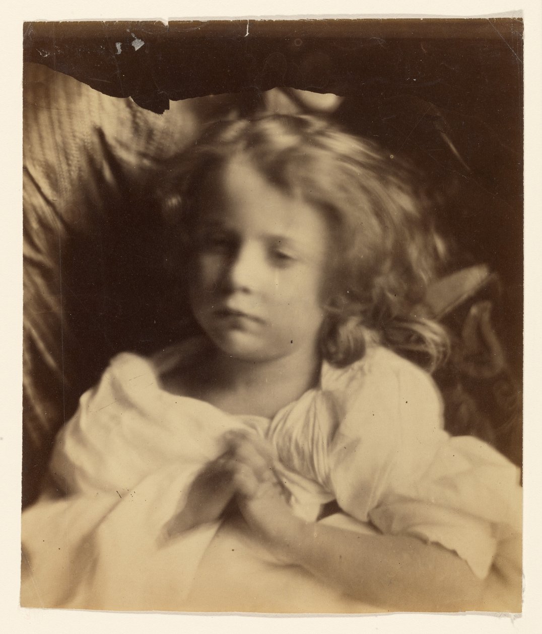 [Willin] de Julia Margaret Cameron