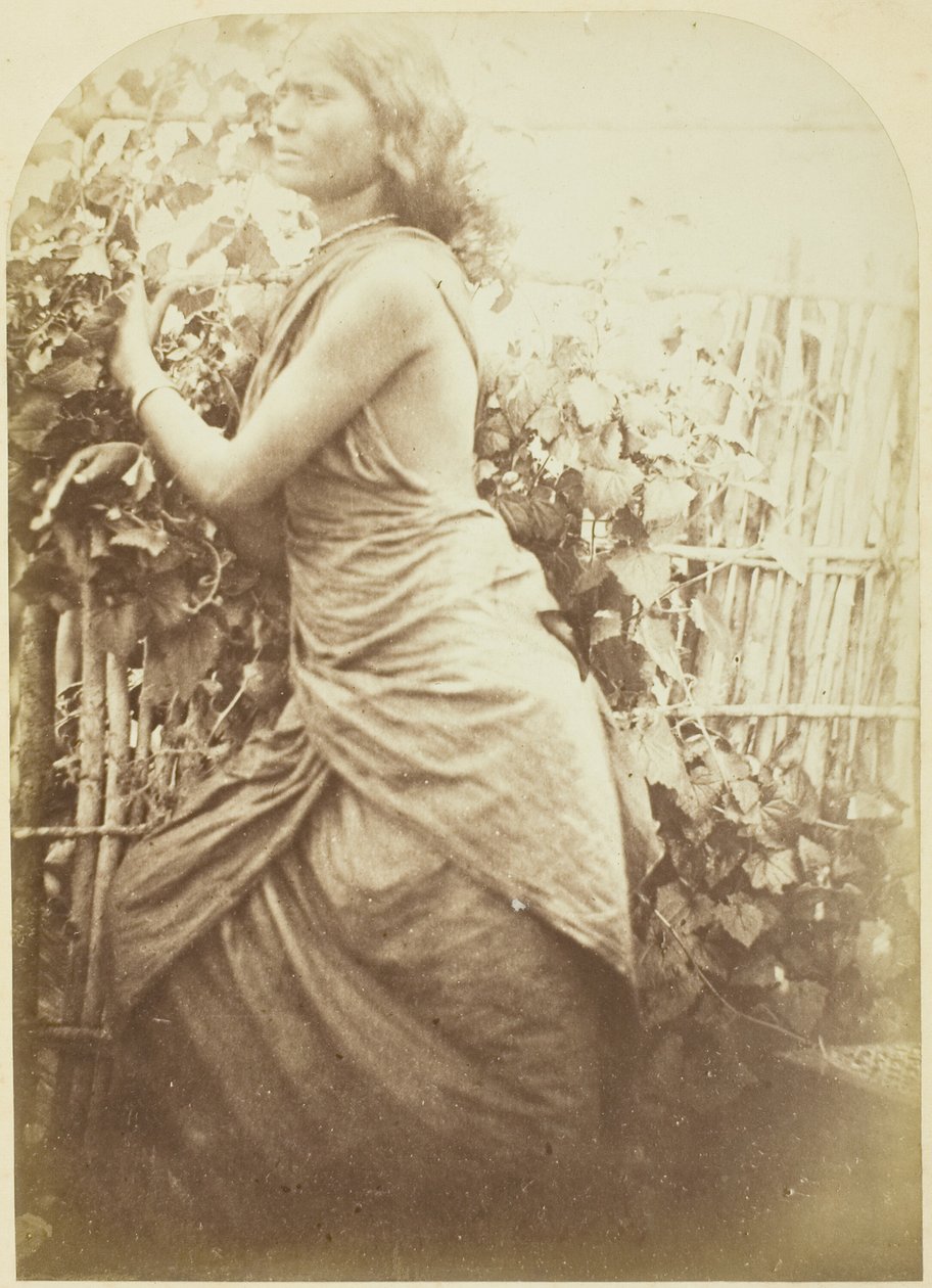 Mulher, Ceilão de Julia Margaret Cameron