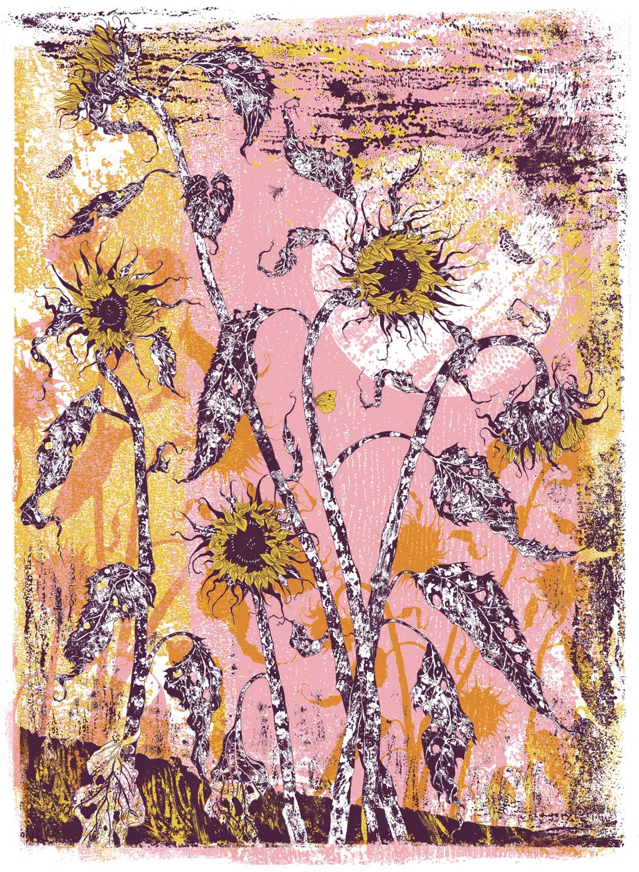 son sine sole iris, 2016 (serigrafia) de julia McKenzie