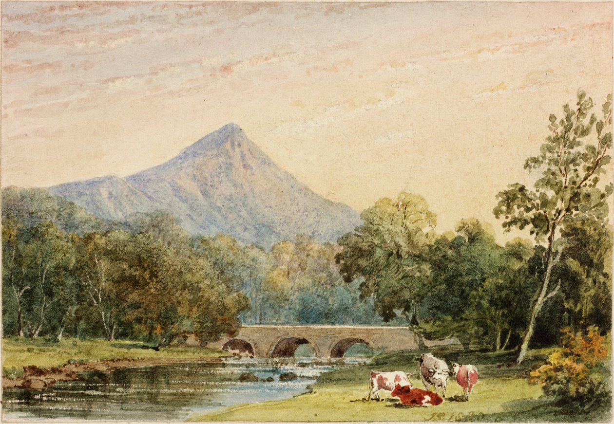 Pão de Açúcar de Tynnahinch (wc no papel (colado no cartão)) de Julia Swinburne