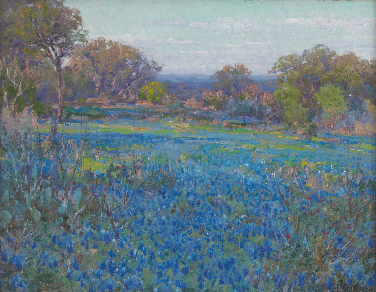 Um, campo, de, azul, capelas, tarde atrasada, luz solar de Julian Onderdonk
